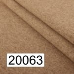 20063