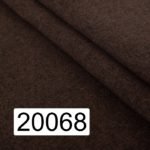 20068