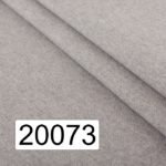 20073