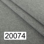 20074