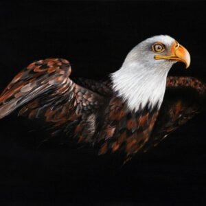 Laima Žeimienė-VIENIS "Aquila-heliaca"