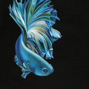 Laima Žeimienė-VIENIS "Betta-splendens"