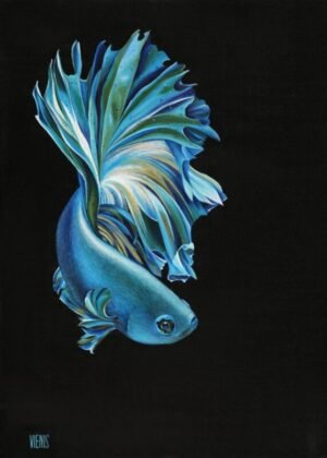 Laima Žeimienė-VIENIS "Betta-splendens"