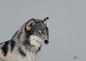 Laima Žeimienė-VIENIS "Canis-lupus"