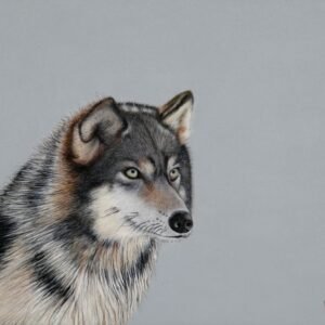 Laima Žeimienė-VIENIS "Canis-lupus"
