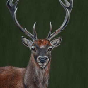 Laima Žeimienė-VIENIS "Cervus-elaphus"