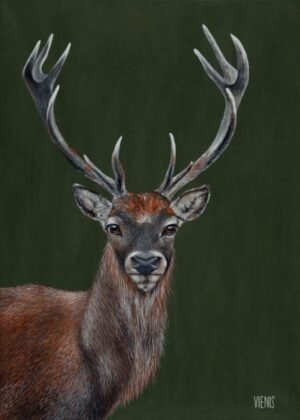 Laima Žeimienė-VIENIS "Cervus-elaphus"
