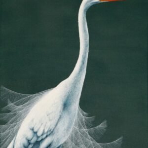 Laima Žeimienė-VIENIS "Egretta-alba-II"