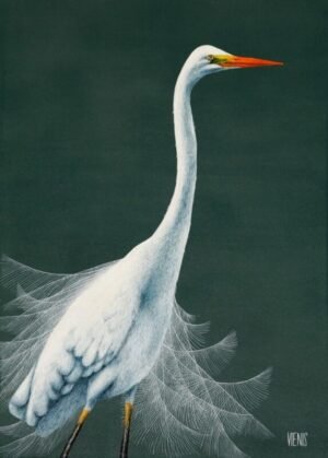 Laima Žeimienė-VIENIS "Egretta-alba-II"