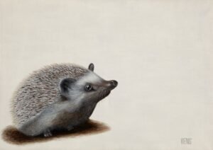 Laima Žeimienė-VIENIS "Erinaceus-roumanicus"