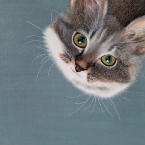 Laima Žeimienė-VIENIS "Felis-silvestris-catus-II"