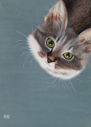 Laima Žeimienė-VIENIS "Felis-silvestris-catus-II"