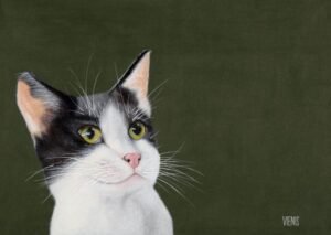 Laima Žeimienė-VIENIS "Felis-silvestris-catus-I"