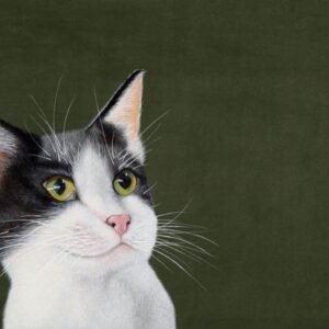 Laima Žeimienė-VIENIS "Felis-silvestris-catus-I"