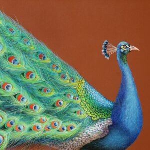 Laima Žeimienė-VIENIS "Pavo-cristatus"