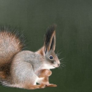 Laima Žeimienė-VIENIS "Sciurus"