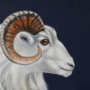 Laima Žeimienė-VIENIS "Ovis canadensis II"