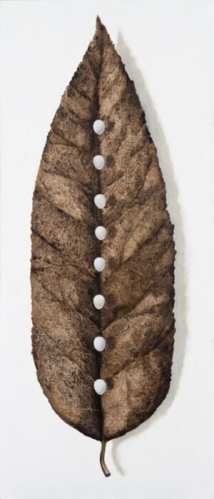 Miglė Kosinskaitė "Lapas II" (2010)