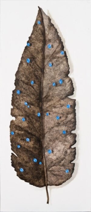 Miglė Kosinskaitė "Lapas III" (2010)
