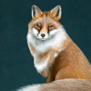 Laima Žeimienė-VIENIS "Vulpes-vulpes"