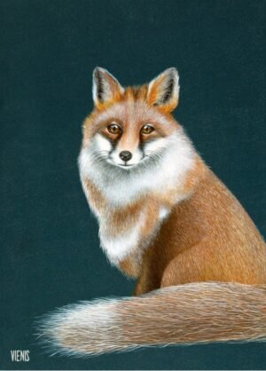 Laima Žeimienė-VIENIS "Vulpes-vulpes"