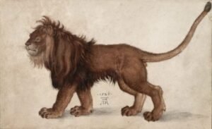Albrecht Durer "Liūtas"