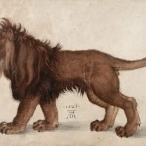 Albrecht Durer "Liūtas"