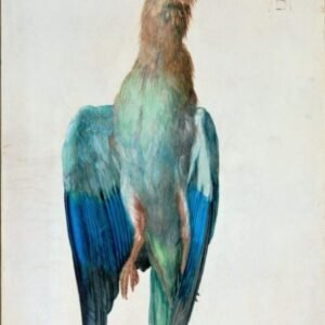 Albrecht Durer "Žalvarnis"