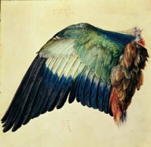 Albrecht Durer "Mėlynojo žalvarnio sparnas"