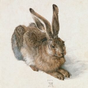 Albrecht Durer "Jaunas kiškis"