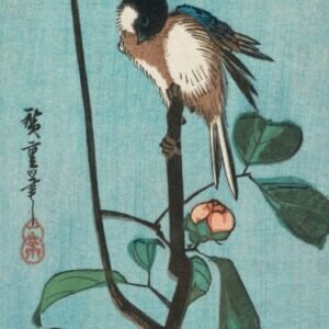 Utagawa Hiroshige "Juodagalvė zylė"