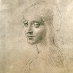 Leonardo Da Vinci "Nekaltos mergelės veidas"