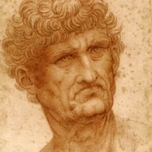 Leonardo Da Vinci "Vyro galva"