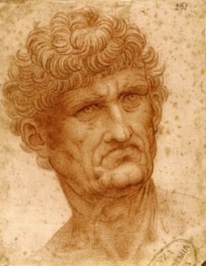 Leonardo Da Vinci "Vyro galva"
