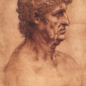 Leonardo Da Vinci "Vyro biustas profiliu"