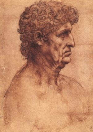 Leonardo Da Vinci "Vyro biustas profiliu"