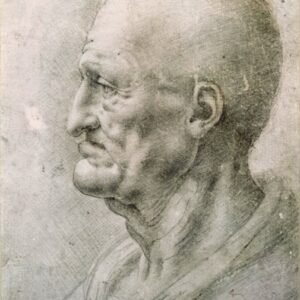 Leonardo Da Vinci "Seno žmogaus analizė"