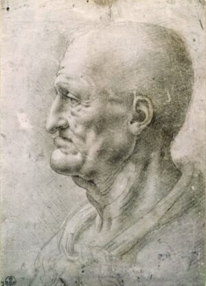 Leonardo Da Vinci "Seno žmogaus analizė"