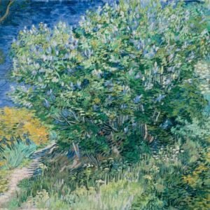 Vincent Van Gogh "Alyvų krūmas"