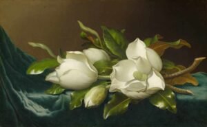 Martin Johnson Heade "Magnolias" 1885