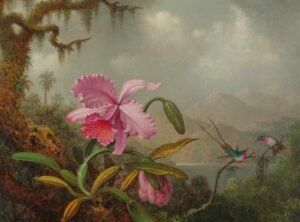 Martin Johnson Heade "Orchids and Hummingbirds"