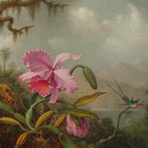 Martin Johnson Heade "Orchids and Hummingbirds"