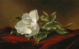 Martin Johnson Heade "Magnolia"