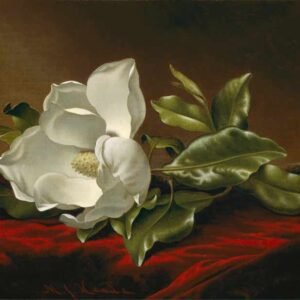 Martin Johnson Heade "Magnolia"