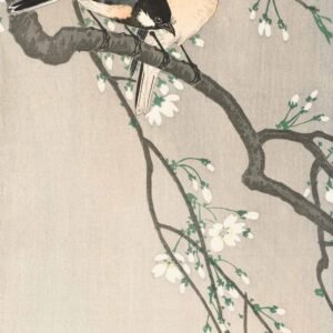Ohara Koson "Vyšnios šaka"