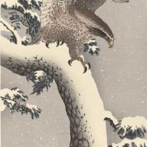Ohara Koson "Erelis ant snieguotos pušies"