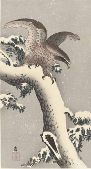 Ohara Koson "Erelis ant snieguotos pušies"