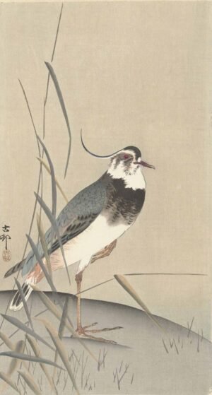 Ohara Koson "Kievit en Riet"