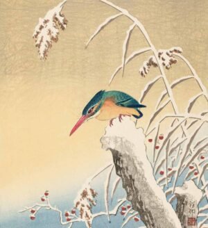 Ohara Koson "Tulžys sniege"