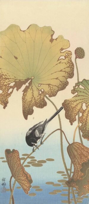 Ohara Koson "Lotoso augalas"
